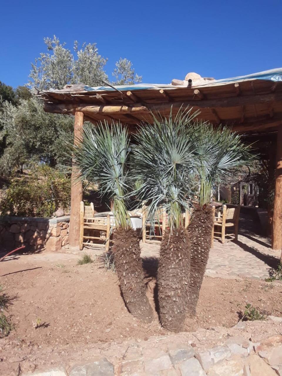 Kasbah Timdaf Hotel Demnat Bagian luar foto