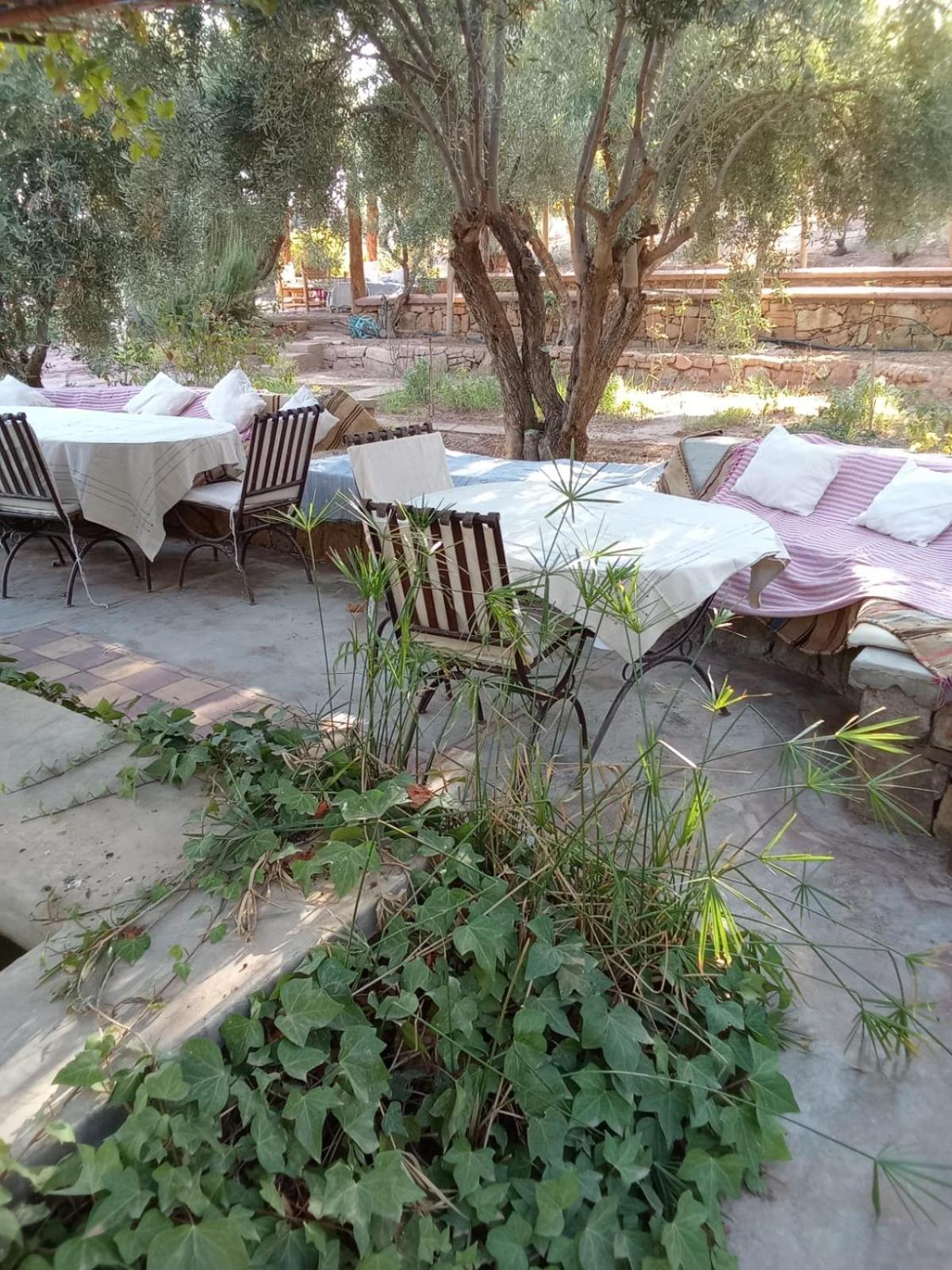 Kasbah Timdaf Hotel Demnat Bagian luar foto